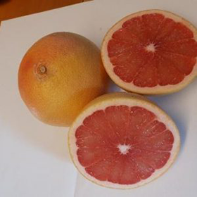 Grapefruit